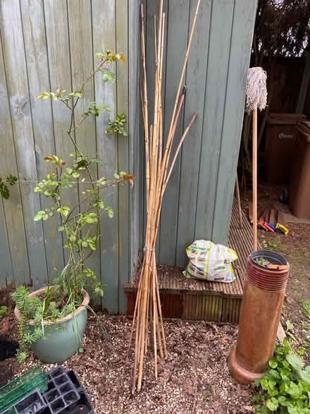 Photo of free Willow canes (Writtle CM1) #1