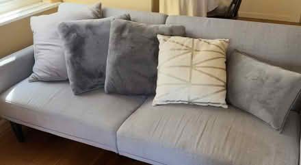 Photo of free Sofa pillows (North Berkeley) #1