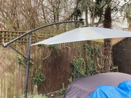 Photo of free Garden (Cricklewood, NW2) #1