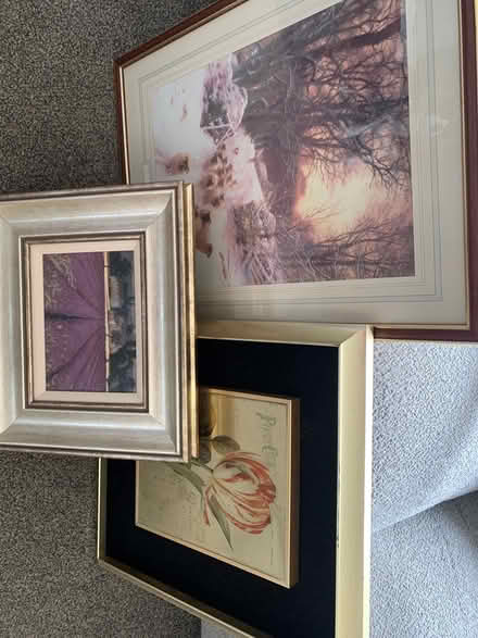 Photo of free Pictures (West Denton NE15) #1