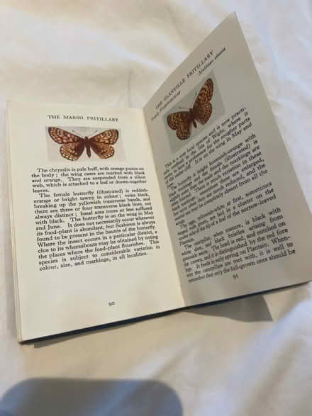 Photo of free Book of butterflies (Perdiswell WR3) #2