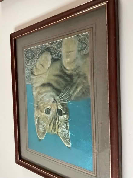 Photo of free 2 pictures (Mickleover DE3) #1