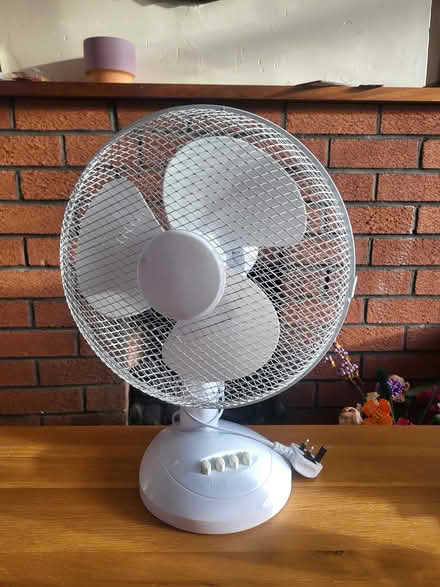 Photo of free Fan (Cabra) #1