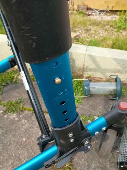 Photo of free walker (Totnes TQ9) #2