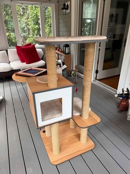 Photo of free Cat Tower (Coolidge Corner, Brookline) #1
