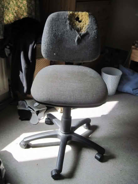 Photo of free office chair, needs repair (Cambuskenneth FK9) #1