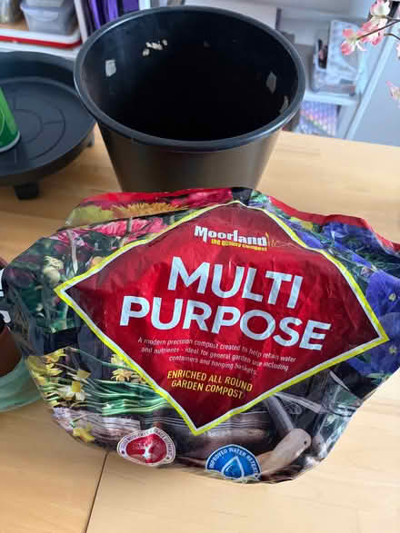 Photo of free Springtime Gardening (Finnieston G3) #2