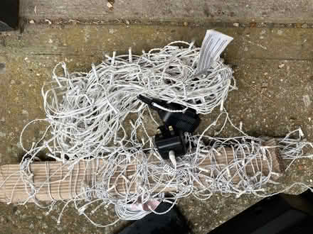 Photo of free Christmas lights blue (CO7) #1