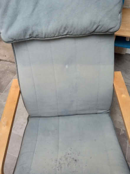 Photo of free Ikea Poang Chair (Segensworth East PO15) #2