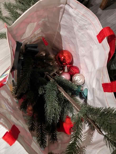 Photo of free Christmas tree (Finnieston, G3) #2