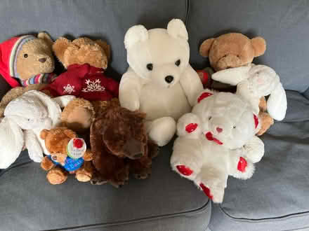 Photo of free Teddy bears (Henleaze BS9) #1