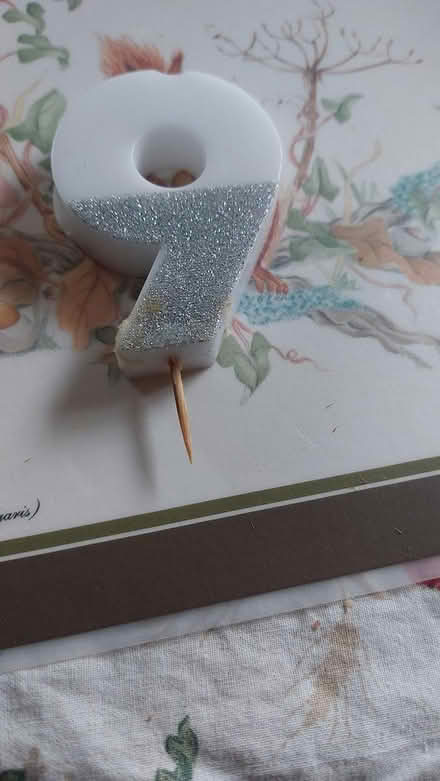 Photo of free Glitter number 9 (Burgess Hill RH15 8NU) #2