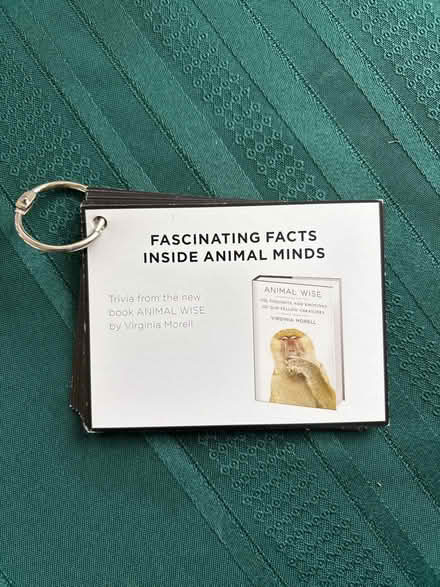 Photo of free Animal facts cards (Ossining) #1