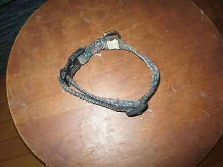 Photo of free miscellaneous items - in Carp (West Carleton - Carp) #4