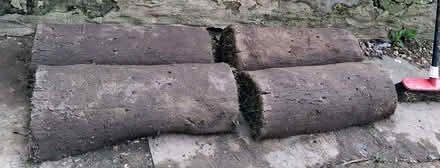 Photo of free Grass Turf 4 rolls left (Skerton LA1) #2