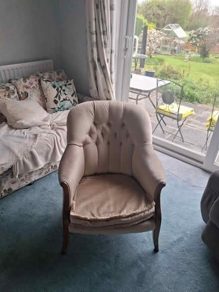 Photo of free Velvet chair (Letchworth SG6) #1