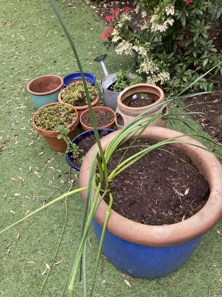 Photo of free Garden pots (Cricklewood, NW2) #3