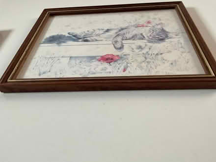 Photo of free 2 pictures (Mickleover DE3) #2