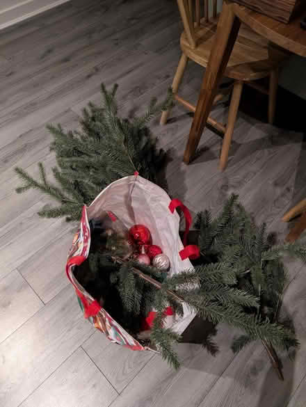 Photo of free Christmas tree (Finnieston, G3) #1