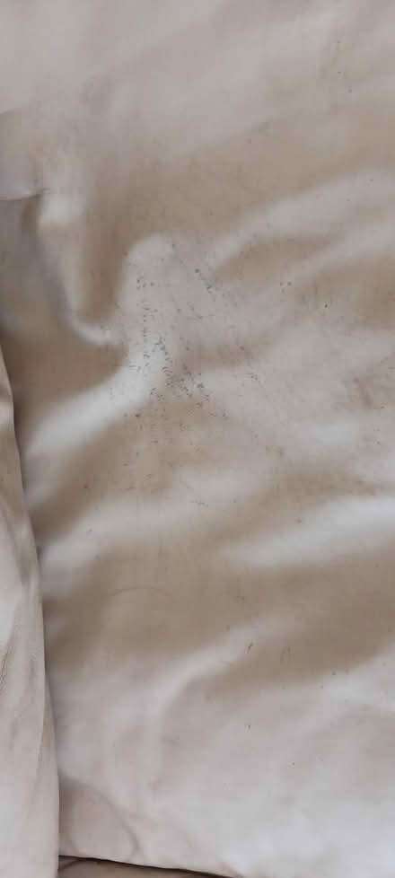 Photo of free Leather.sofa bed (Iden Green Benenden) #4