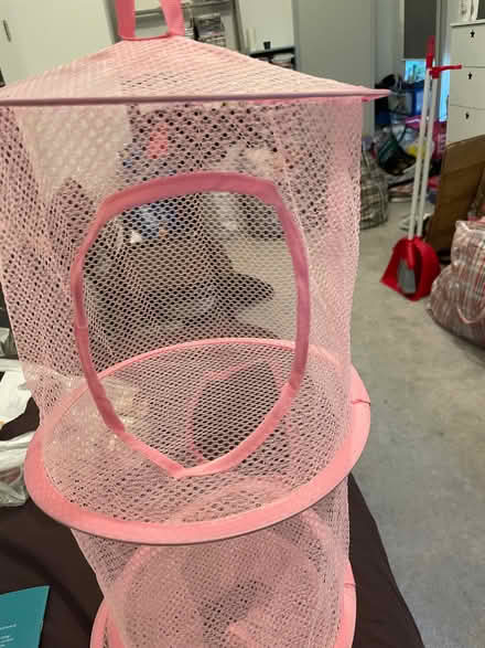 Photo of free Pink hanging storage (Wandsworth SW18) #2