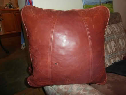 Photo of free Two Leather Cushions (Bentlawnt SY5) #1
