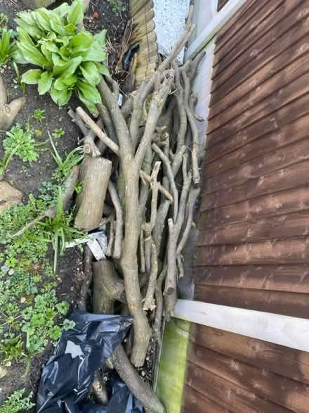 Photo of free Fire wood (Farnworth BL4) #1