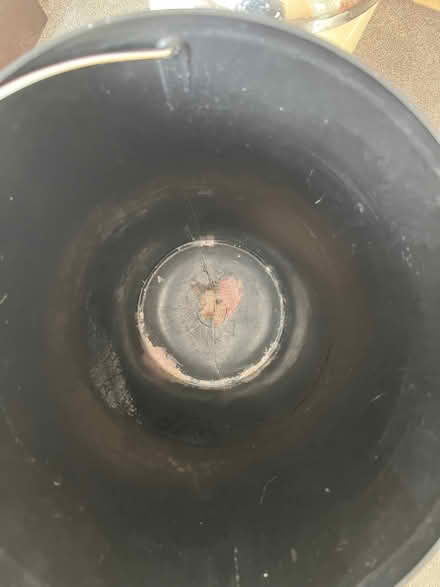 Photo of free Cream Pedal Bin (Bear Cross BH11) #4