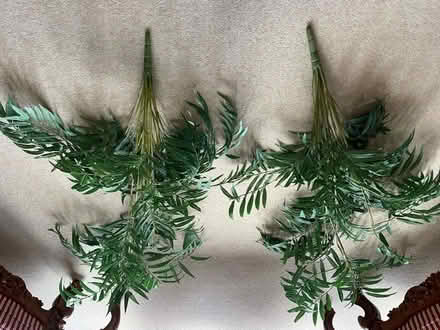 Photo of free Matching Pair (2) Faux (Silk) Palms (Surbiton KT6) #1