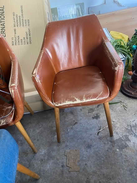 Photo of free Dining tub chairs (Watergrasshill) #1