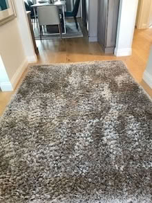 Photo of free Shag Rug 5x7 Gray/Silver (Healdsburg, near golf course) #1