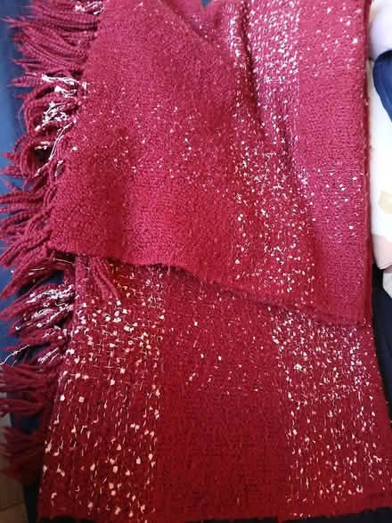 Photo of free Red blanket (washington) #1