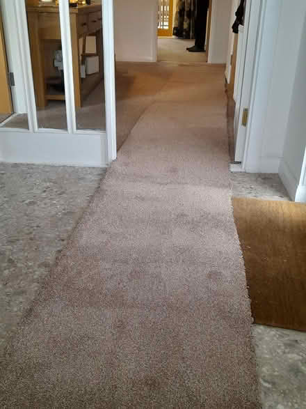 Photo of free long piece of carpet (Bridge of allan) #1