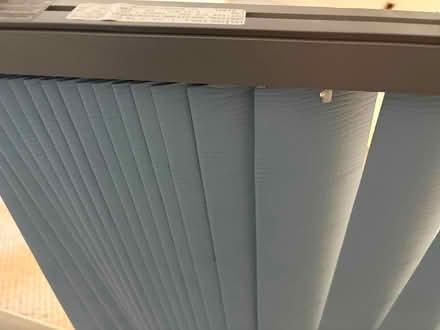 Photo of free Window Blinds - light blue (Sharon) #1