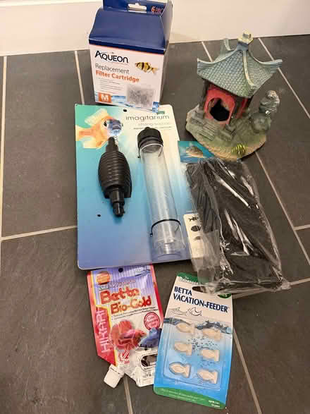 Photo of free Imagitarium Fish tank (Coolidge Corner, Brookline) #2