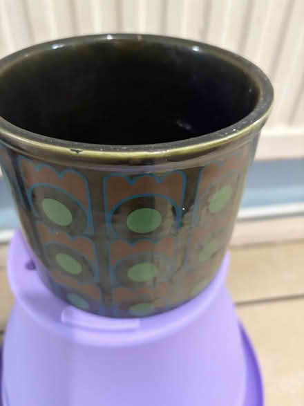 Photo of free Plant pot (Westbury Wilts BA13) #1