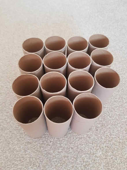 Photo of free 15 Empty Toilet Rolls (North Abingdon, OX14) #2