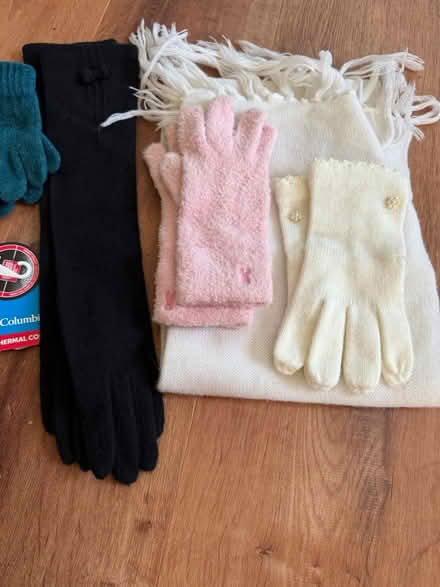 Photo of free Cold weather accessories (Rancho Rinconada, Cupertino) #3