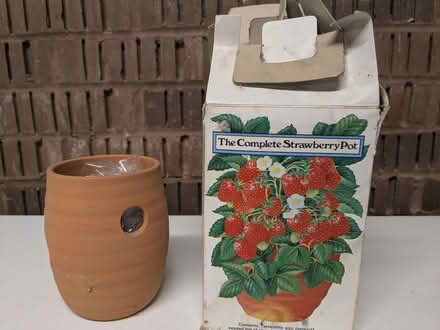 Photo of free Strawberry growing pot/kit (Prestbury GL52) #1