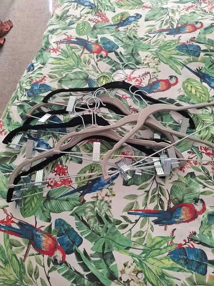 Photo of free 10 skirt or trouser hangers (Whitstable CT5) #1
