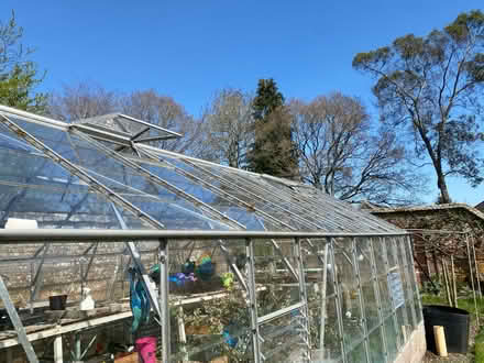 Photo of free Greenhouse 20ft x 10ft (Newtown, Witchampton) #2