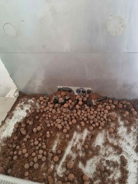 Photo of free Vivarium (The Nurserylands TW12) #4