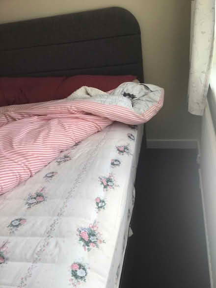 Photo of free Double divan bed (CM7) #3