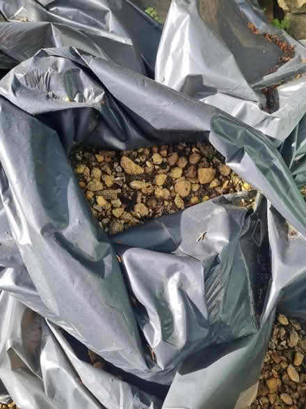 Photo of free Stone mix for building ground works (Bengeo SG14) #2