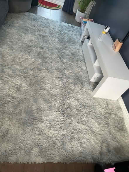 Photo of free Soft shaggy grey and white rug (Cradley Heath B64) #2