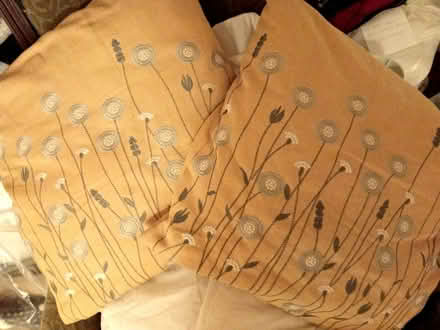 Photo of free 5 Mixed Cushion Covers, With Cushions, If (Clifton S60) #1