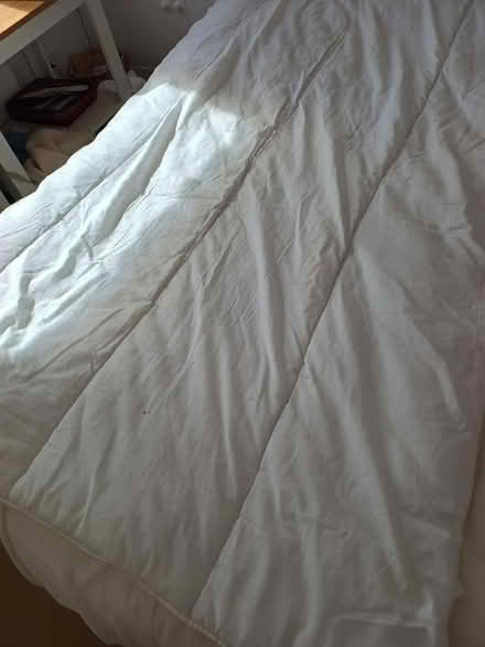 Photo of free Single polyester duvet (Lambridge) #2