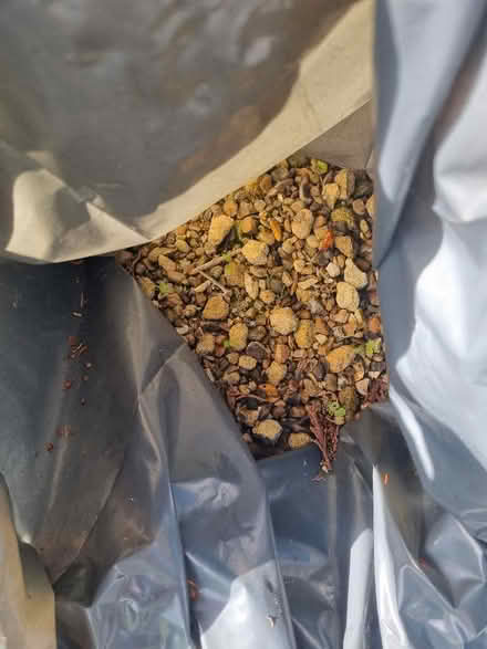 Photo of free Stone mix for building ground works (Bengeo SG14) #4