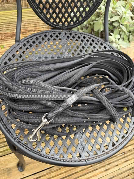 Photo of free Julius K9 long lead (Swindon old town SN1) #1