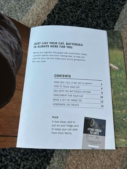 Photo of free Battersea Cat care guide (Jennetts park RG12) #2